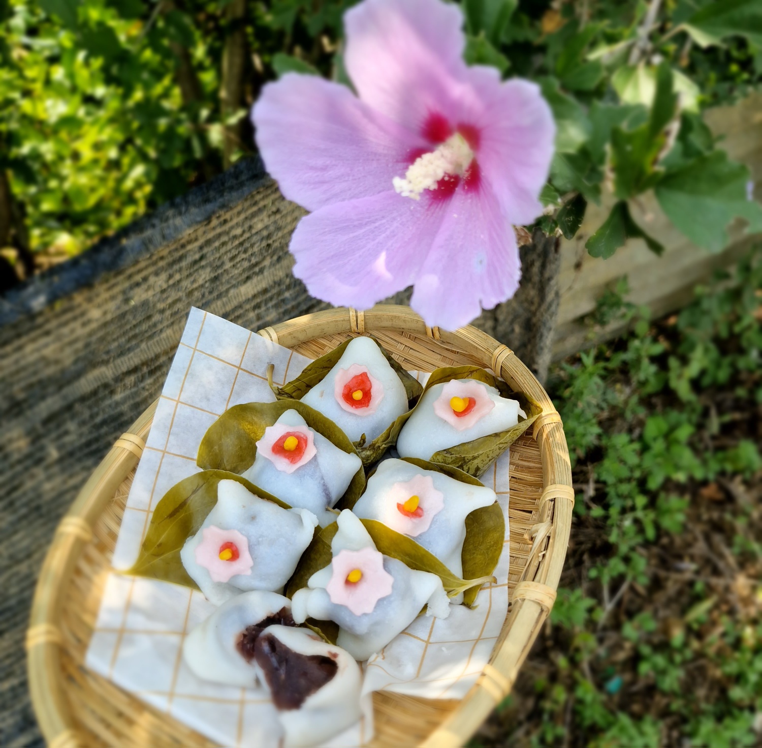 B반 우리나라 꽃 무궁화 떡 만들기 신청 배너